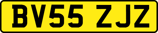 BV55ZJZ