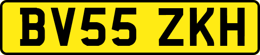 BV55ZKH