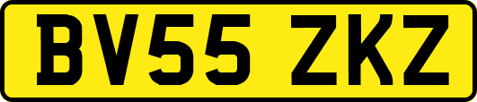 BV55ZKZ