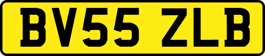 BV55ZLB