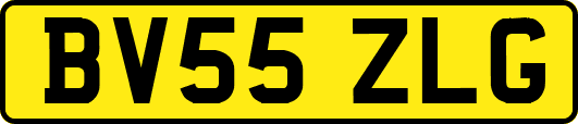 BV55ZLG