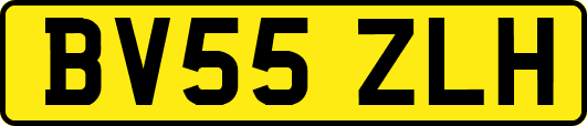 BV55ZLH