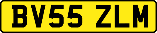 BV55ZLM