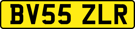 BV55ZLR