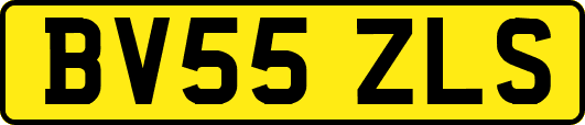 BV55ZLS