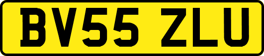 BV55ZLU