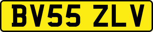 BV55ZLV