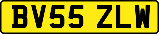 BV55ZLW