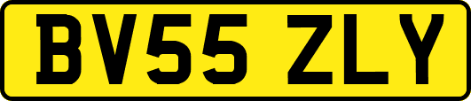 BV55ZLY