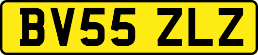 BV55ZLZ
