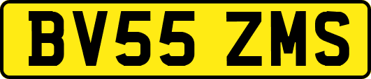 BV55ZMS