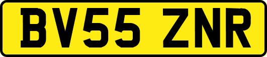 BV55ZNR