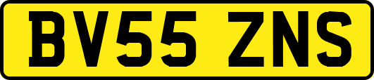 BV55ZNS