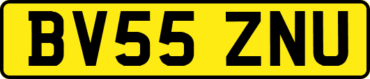 BV55ZNU