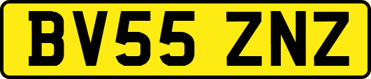 BV55ZNZ