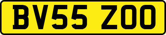 BV55ZOO