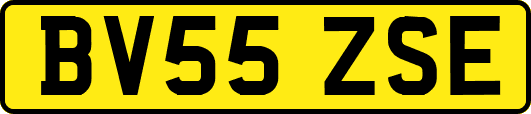 BV55ZSE
