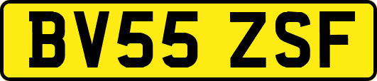 BV55ZSF