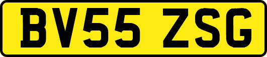 BV55ZSG