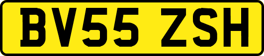 BV55ZSH