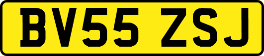 BV55ZSJ
