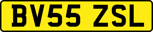 BV55ZSL