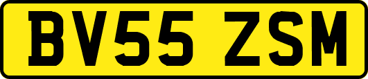 BV55ZSM