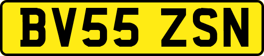 BV55ZSN