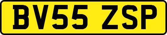 BV55ZSP
