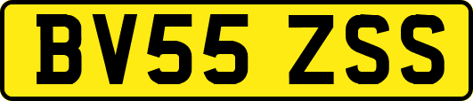 BV55ZSS