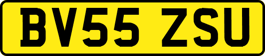 BV55ZSU