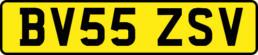 BV55ZSV