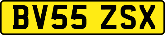BV55ZSX