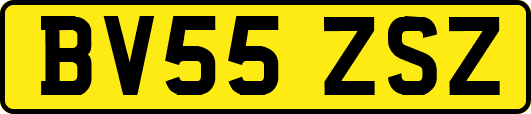 BV55ZSZ