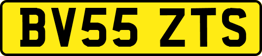 BV55ZTS