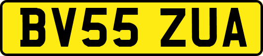 BV55ZUA