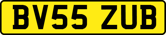 BV55ZUB
