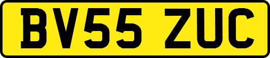 BV55ZUC