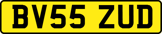 BV55ZUD