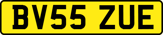 BV55ZUE