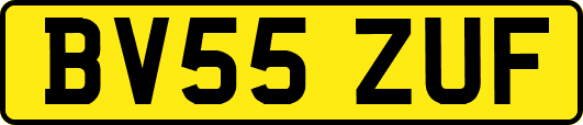 BV55ZUF