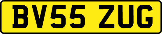 BV55ZUG