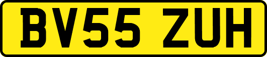 BV55ZUH