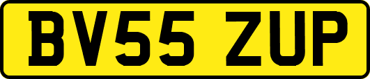 BV55ZUP