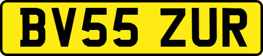 BV55ZUR