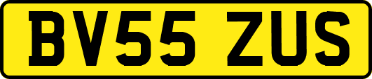 BV55ZUS