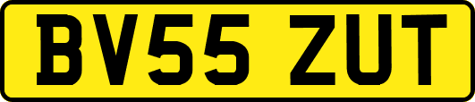 BV55ZUT