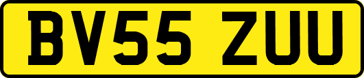 BV55ZUU