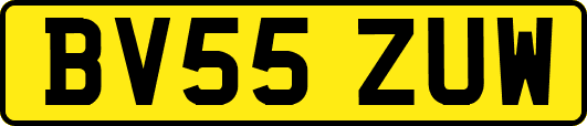 BV55ZUW