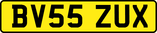 BV55ZUX